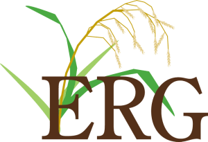 ERG logo